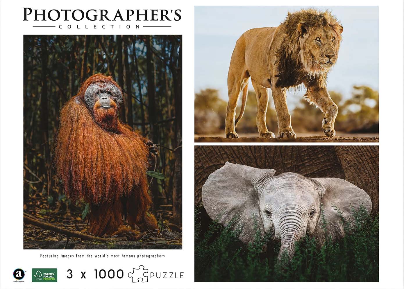 Wildtiere 3 x 1000 Teile (Donal Boyd)