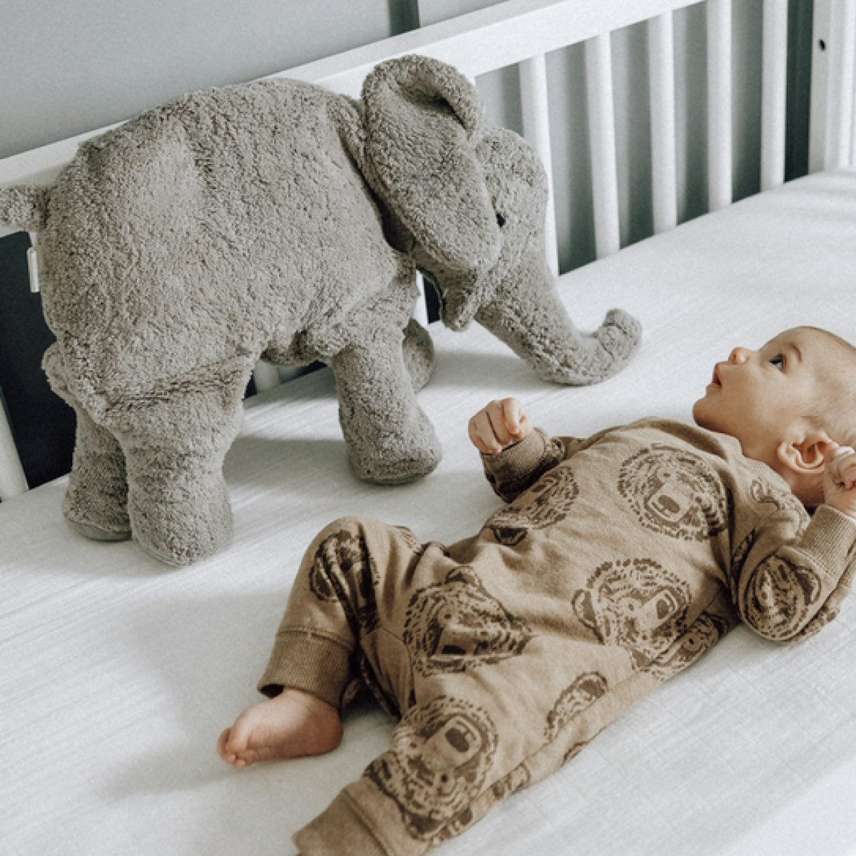 XL Kuscheltier & Wärmekissen Elefant 46 Dinkelspelz