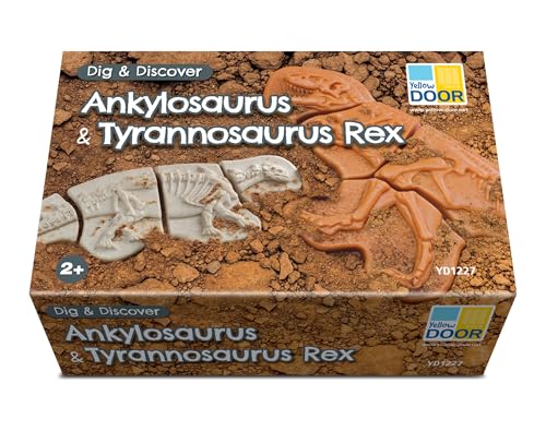 Yellow Door - Dig & Discover – Ankylosaurus & Tyrannosaurus rex von Yellow Door