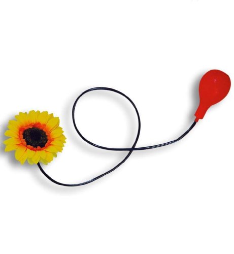 buy'n'get Spritz Blume - Rosa - Kind - Erwachsene aller Geschlechter - Spielend von buy'n'get