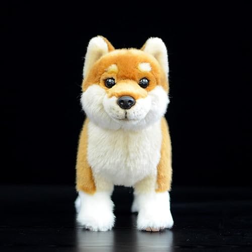 capybaraflying Niedliches simuliertes Shiba Inu-Plüschtier,28cm/11in realistisches Shiba Inu-Kuscheltier,kuschelige Schlafzimmerdekoration für Teenager – Gelb capybaraflying Niedliches simuliertes Shiba Inu-Plüschtier,28cm/11in realistisches Shiba Inu-Kuscheltier,kuschelige Schlafzimmerdekoration für Teenager – Gelb von capybaraflying