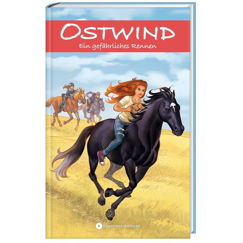 Ein gefährliches Rennen / Ostwind Abenteuerreihe Bd.5 von cbj
