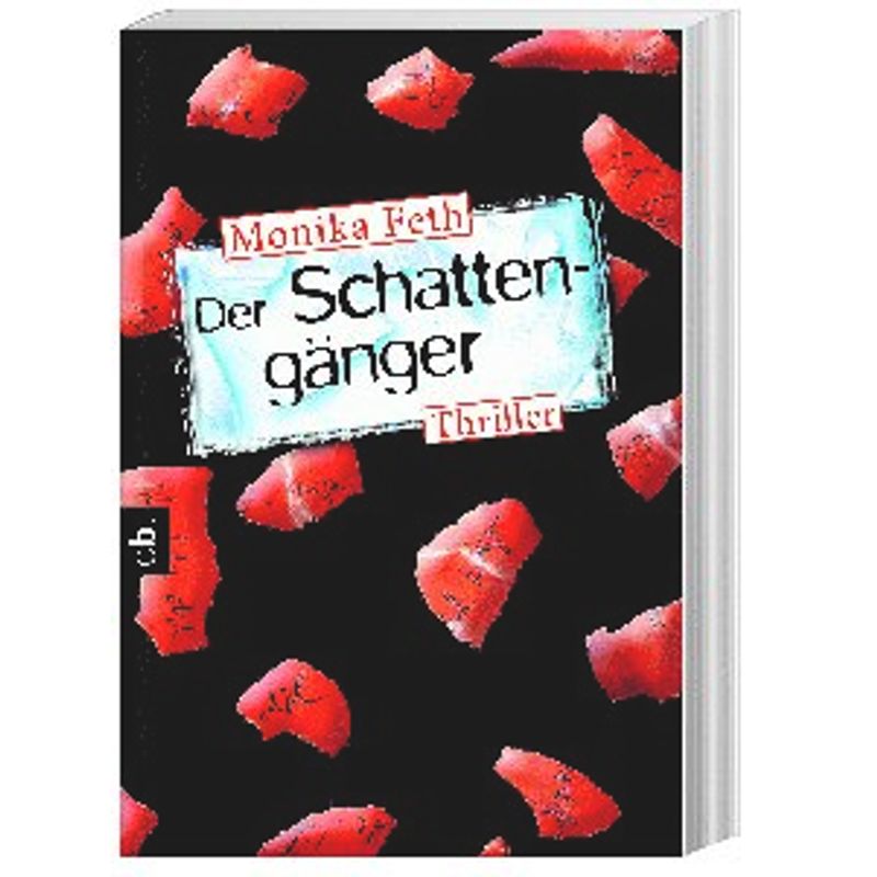 Der Schattengänger / Erdbeerpflücker-Thriller Bd.4 von cbt