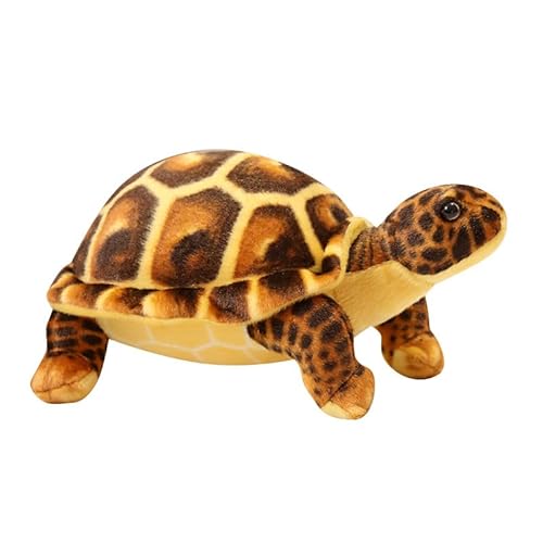 30cm Kuscheltier Emulation Schildkröten Plüschtier, Entzückende Schildkröten,Schildkröten Puppe,Schildkröten Kissen,Schildkröten Dekorationen von champracer