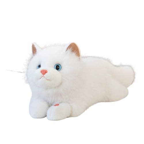 Kuscheltier Lebensecht, Katzen-Plüschtier, Cartoon, Kuscheltier,Simulation Kurzhaar Nette Katze Puppe Flauschigen Plüsch, Plüsch-Katzenpuppe für Kinder als Geburtstagsgeschenk für die (weiß,55cm) Kuscheltier Lebensecht, Katzen-Plüschtier, Cartoon, Kuscheltier,Simulation Kurzhaar Nette Katze Puppe Flauschigen Plüsch, Plüsch-Katzenpuppe für Kinder als Geburtstagsgeschenk für die (weiß,55cm) von champracer