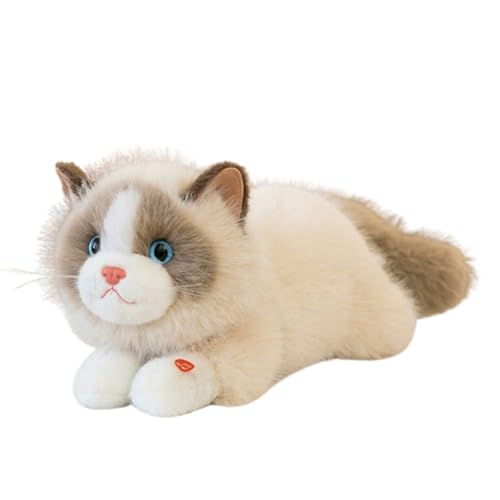 Kuscheltier Lebensecht, Katzen-Plüschtier, Cartoon, Kuscheltier,Simulation Kurzhaar Nette Katze Puppe Flauschigen Plüsch, Plüsch-Katzenpuppe für Kinder als Geburtstagsgeschenk für die (Braun,45cm) Kuscheltier Lebensecht, Katzen-Plüschtier, Cartoon, Kuscheltier,Simulation Kurzhaar Nette Katze Puppe Flauschigen Plüsch, Plüsch-Katzenpuppe für Kinder als Geburtstagsgeschenk für die (Braun,45cm) von champracer