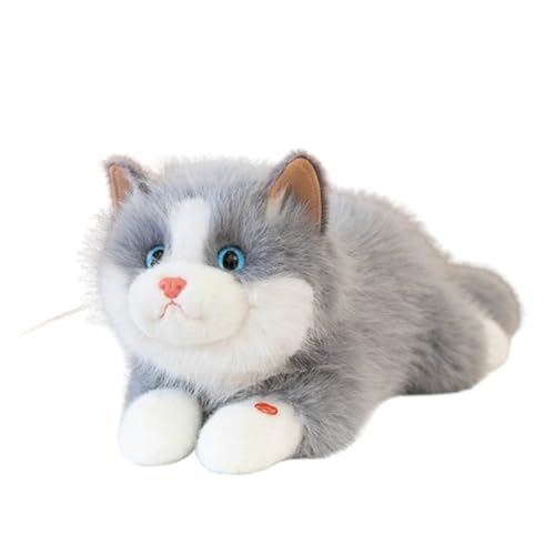Kuscheltier Lebensecht, Katzen-Plüschtier, Cartoon, Kuscheltier,Simulation Kurzhaar Nette Katze Puppe Flauschigen Plüsch, Plüsch-Katzenpuppe für Kinder als Geburtstagsgeschenk für die (Grau,45cm) Kuscheltier Lebensecht, Katzen-Plüschtier, Cartoon, Kuscheltier,Simulation Kurzhaar Nette Katze Puppe Flauschigen Plüsch, Plüsch-Katzenpuppe für Kinder als Geburtstagsgeschenk für die (Grau,45cm) von champracer