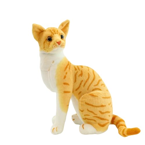 Realistische getigerte Katze, Kuscheltier Lebensecht,Katze Kuscheltier echt,Plüschkätzchen, lebensechte amerikanische Kurzhaarkatze,Kuschelige Katze Miau Spielzeug für Kinder Geschenk (D35CM) von champracer
