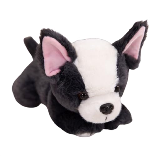 Shiba Inu Plüschtier Süßer Corgi Stofftier Hund Plüschkissen,Husky Kuscheltiere Hund Weich Plüschhund Stofftier,Shiba Inu Kuscheltier Kissen Plüsch Spielzeug Puppen für Kinder (25cm,Bulldogge) von champracer