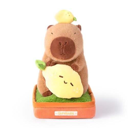 champracer Capybara Kuscheltier Capybara Plüschtier in Einer Topfpflanze sitzend Stofftier Capybara Capybara Plush Geschenk für Kinder Jungen Mädchen (30cn,A) von champracer
