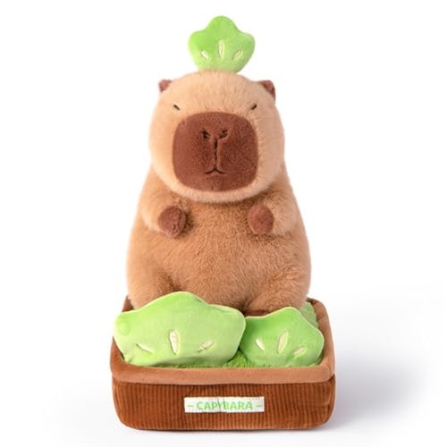 champracer Capybara Kuscheltier Capybara Plüschtier in Einer Topfpflanze sitzend Stofftier Capybara Capybara Plush Geschenk für Kinder Jungen Mädchen (30cn,D) von champracer