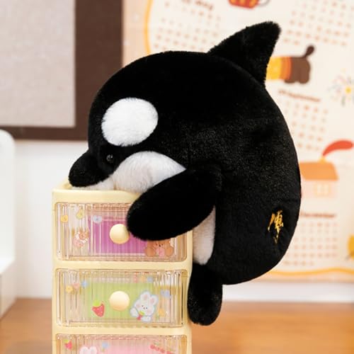 champracer Cartoon Shark Plüschtier,Niedliches Spielzeug Plüschtier,Robbe Plüschtier,Orca Kuscheltier,Ocean Aquatic Animals Shark Doll Kinder Huggable Plushie Toy Geburtstagsgeschenk (21cm,Killerwal) champracer Cartoon Shark Plüschtier,Niedliches Spielzeug Plüschtier,Robbe Plüschtier,Orca Kuscheltier,Ocean Aquatic Animals Shark Doll Kinder Huggable Plushie Toy Geburtstagsgeschenk (21cm,Killerwal) von champracer