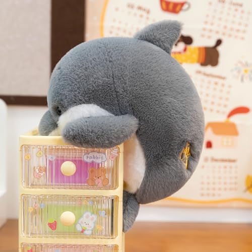 champracer Cartoon Shark Plüschtier,Niedliches Spielzeug Plüschtier,Robbe Plüschtier,Orca Kuscheltier,Ocean Aquatic Animals Shark Doll Kinder Huggable Plushie Toy Geburtstagsgeschenk (21cm,Delphin) champracer Cartoon Shark Plüschtier,Niedliches Spielzeug Plüschtier,Robbe Plüschtier,Orca Kuscheltier,Ocean Aquatic Animals Shark Doll Kinder Huggable Plushie Toy Geburtstagsgeschenk (21cm,Delphin) von champracer
