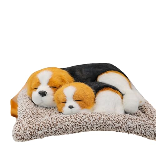 champracer Husky Stofftier Kuscheltier,Husky Kuscheltiere Hund Weich Plüschhund Stofftier, Anime Plushie Shiba,Geschenk für Jungen und Mädchen,Weicher Plüsch Liegend Schlafplüsch (A22CM) von champracer