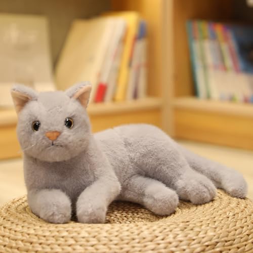 champracer Katze Kuscheltier Simulations Katzen Puppe Katze Plüschtier Kurzhaar Nette Katze Puppe Lebensechte Katze Plüschtier Spielzeug Für Heimdekoration Fotografie-Requisiten (40cm,Grau) von champracer
