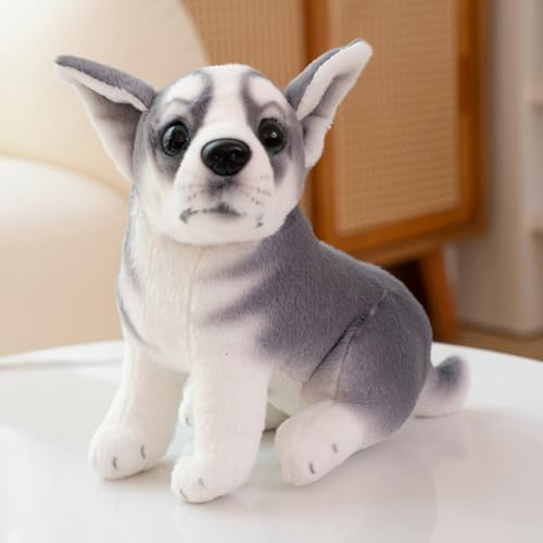 champracer Kuscheltier Hund 20cm Hund Plüschtier Bulldogge Husky Plüsch-Hund Simulation Tier Puppe Plüsch Geschenke für Kinder Jungen Mädchen (hockend,Husky) von champracer