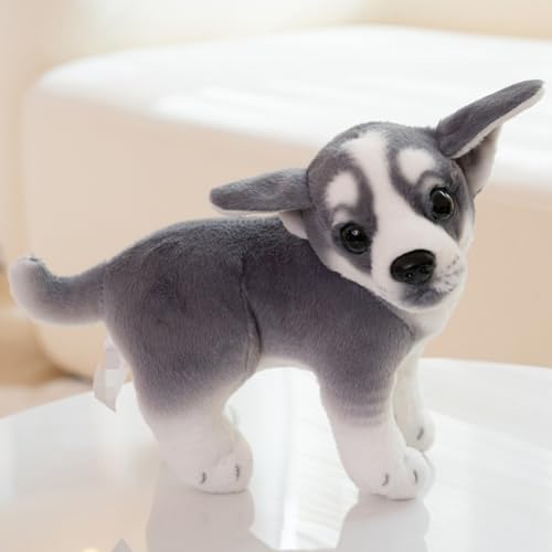 champracer Kuscheltier Hund 20cm Hund Plüschtier Bulldogge Husky Plüsch-Hund Simulation Tier Puppe Plüsch Geschenke für Kinder Jungen Mädchen (stehend,Husky) von champracer