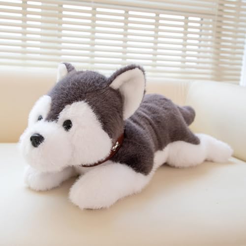 champracer Kuscheltier Hund Simuliertes Tier Hund Plüschtier Plüsch Hund Plüschhund Puppe Stofftier Hund Geschenke für Jungen Mädchen (40cm,Husky) von champracer