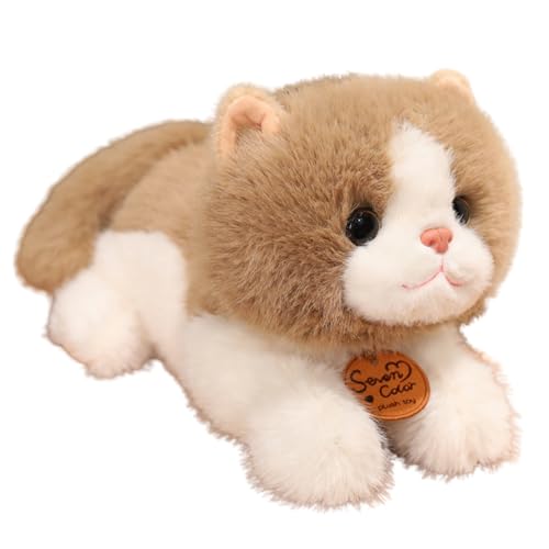 champracer Kuscheltier Katze Katze Plüschtier Simulation Kurzhaar Nette Katze Puppe Kawaii Katze Kuscheltier Geschenk für Kinder Jeglichen Alters (35cm,braun-B) von champracer