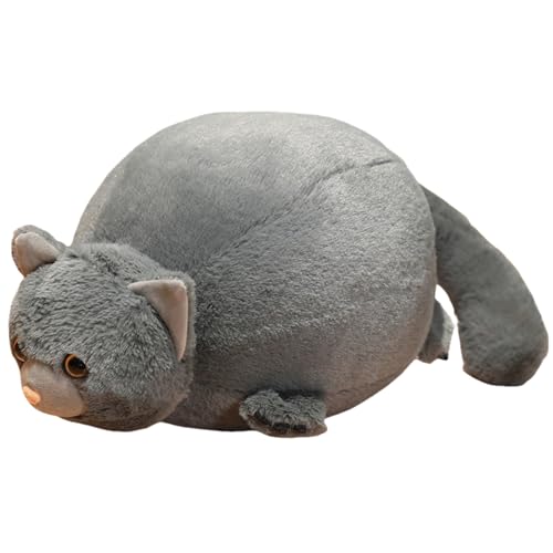 champracer Kuscheltier Katze Katze Plüschtier Stofftiere Stofftierpuppe Katze Dekokissen Geschenk für Kinder Jeglichen Alters (75cm,Grau) von champracer
