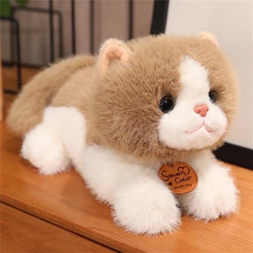 champracer Kuscheltier Katze Lebensecht, Realistische Katze Figur Plüschtiere,Simulation Kurzhaar Nette Katze Puppe Flauschigen Plüsch Kätzchen, Kinder Freunde Familien (braun unten,25 cm) von champracer