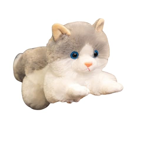champracer Kuscheltier Katze Lebensecht,Simulation Kurzhaar Nette Katze Puppe Kuscheltier Katze Lebensecht Katze, Plüschfiur Spielzeug für Kinder Frauen (31cm,grau) von champracer