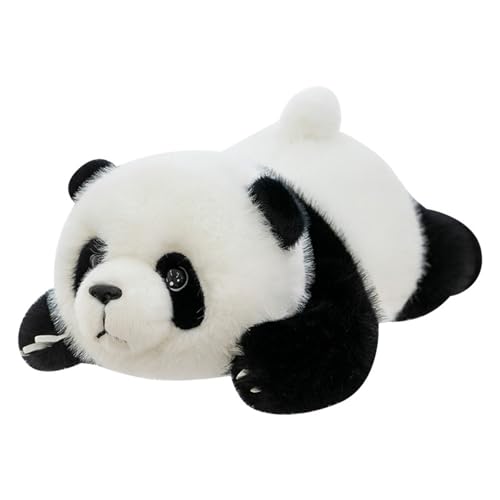 champracer Panda Kuscheltier, Flauschige Weicher Plüschtier, Panda Bär Plüschkissen Kuscheltie Weiches Süßes Panda Stofftier,Spielzeug Geschenk für Kinder Jungen Mädchen (100cm) von champracer