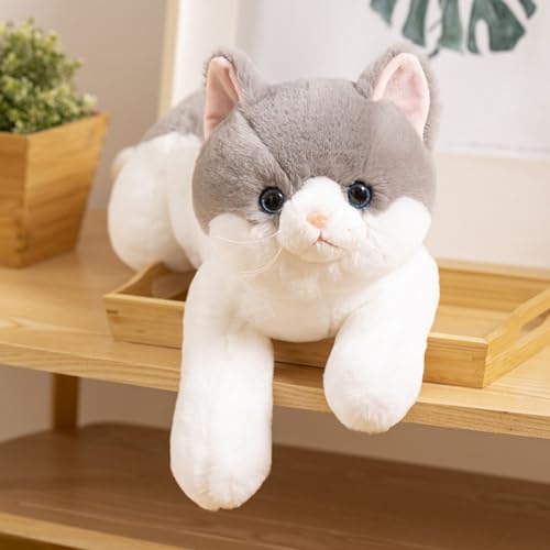 champracer Realistic Plüsch Katze Plüschtier Simulation Kurzhaar Nette Katze Puppe Süßes Katze Spielzeug Geschenk für Kinder Jeglichen Alters (50cm,Grau) von champracer