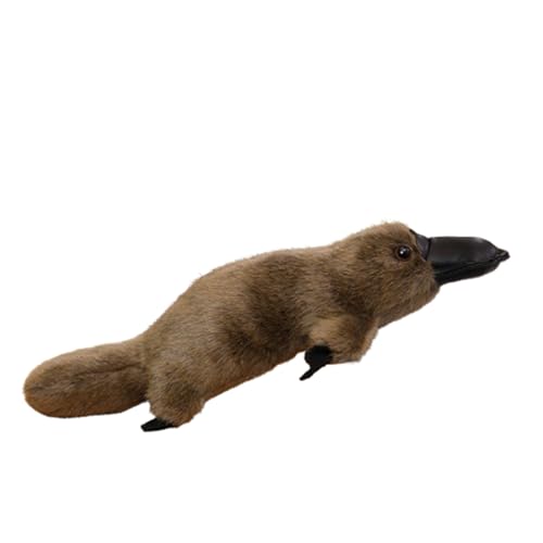 champracer Schnabeltier Kuscheltier 35cm Kawaii Realistische Weiches Schnabeltier Plüschtier,Schnabeltier Plüschtier,Schnabeltier-Plüsch Schnabeltier-Puppe Geschenke für Kinder (35cm,Grau) von champracer