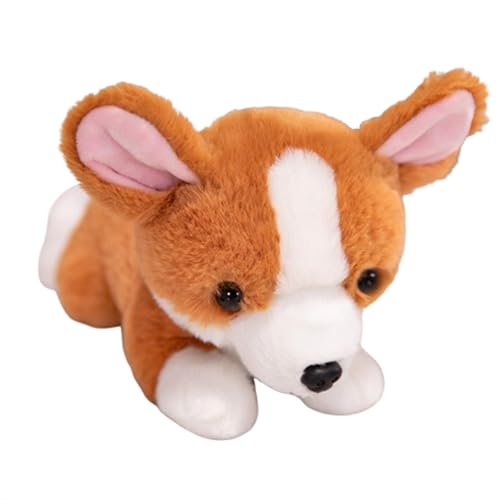 champracer Shiba Inu Plüschtier Süßer Corgi Stofftier Hund Plüschkissen,Husky Kuscheltiere Hund Weich Plüschhund Stofftier,Shiba Inu Kuscheltier Kissen Plüsch Spielzeug Puppen für Kinder (25cm,Corgi) champracer Shiba Inu Plüschtier Süßer Corgi Stofftier Hund Plüschkissen,Husky Kuscheltiere Hund Weich Plüschhund Stofftier,Shiba Inu Kuscheltier Kissen Plüsch Spielzeug Puppen für Kinder (25cm,Corgi) von champracer
