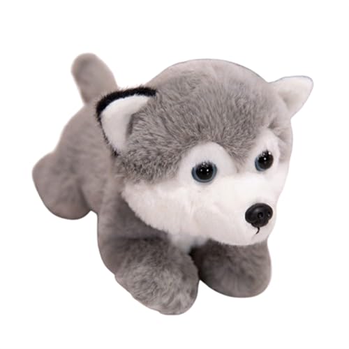 champracer Shiba Inu Plüschtier Süßer Corgi Stofftier Hund Plüschkissen,Husky Kuscheltiere Hund Weich Plüschhund Stofftier,Shiba Inu Kuscheltier Kissen Plüsch Spielzeug Puppen für Kinder (25cm,Husky) champracer Shiba Inu Plüschtier Süßer Corgi Stofftier Hund Plüschkissen,Husky Kuscheltiere Hund Weich Plüschhund Stofftier,Shiba Inu Kuscheltier Kissen Plüsch Spielzeug Puppen für Kinder (25cm,Husky) von champracer