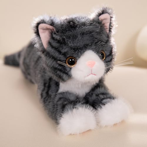 champracer Simulation Kurzhaar Nette Katze Puppe Kuscheltier Katze,Weighted Cat,für Gastgeschenke Begleiter Schlafzimmer Auto Heimdekoration Sammlergeschenk für Kinder (53cm,Asche) von champracer