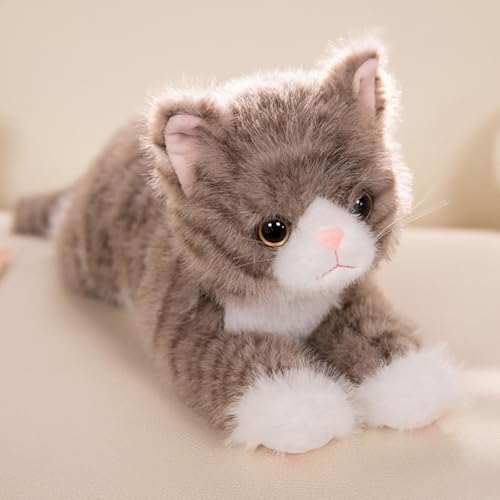 champracer Simulation Kurzhaar Nette Katze Puppe Kuscheltier Katze,Weighted Cat,für Gastgeschenke Begleiter Schlafzimmer Auto Heimdekoration Sammlergeschenk für Kinder (53cm,Braun) von champracer