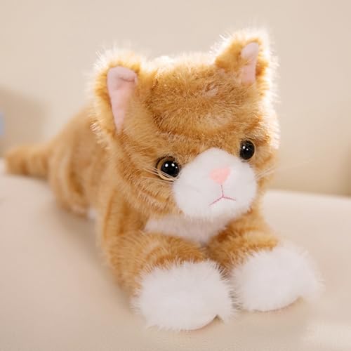 champracer Simulation Kurzhaar Nette Katze Puppe Kuscheltier Katze,Weighted Cat,für Gastgeschenke Begleiter Schlafzimmer Auto Heimdekoration Sammlergeschenk für Kinder (53cm,Orange) von champracer