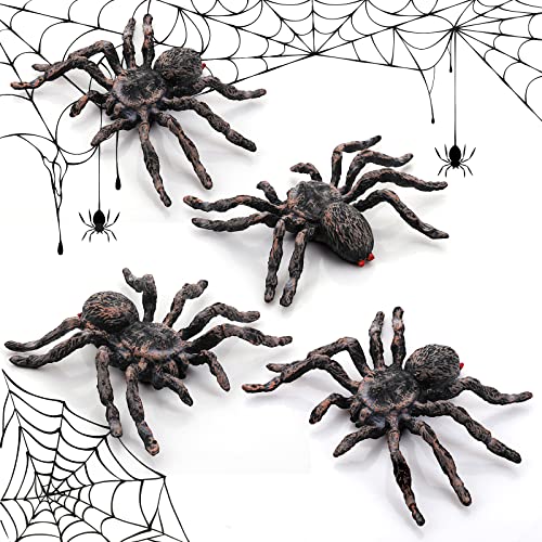 Cobee Realistische Spinnenfiguren, 4 Stück Halloween Spinnen Dekorationen, Riesenspinnen Action Modell, lebensechte, gruselige Spinnen für Halloween Streichrequisiten, Partyzubehör, gruseliges Thema Cobee Realistische Spinnenfiguren, 4 Stück Halloween Spinnen Dekorationen, Riesenspinnen Action Modell, lebensechte, gruselige Spinnen für Halloween Streichrequisiten, Partyzubehör, gruseliges Thema von Cobee