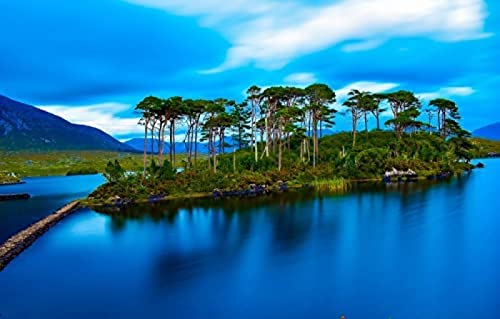 KESIMO Puzzles für Erwachsene, 1000 Teile, Irland, Irland, Connemara, Lake Island, Kiefern, Puzzlespiele, Heimdekoration, Geschenke, 50 x 70 cm KESIMO Puzzles für Erwachsene, 1000 Teile, Irland, Irland, Connemara, Lake Island, Kiefern, Puzzlespiele, Heimdekoration, Geschenke, 50 x 70 cm von coinos