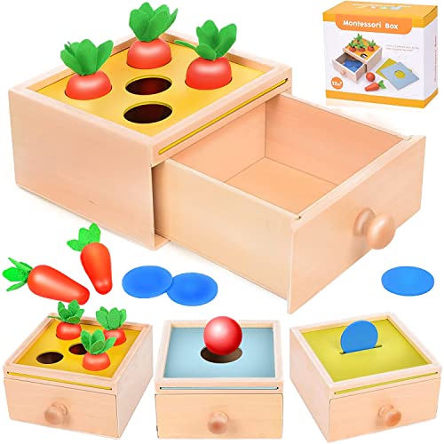 colmanda Holzspielzeug ab 1 Jahr, Montessori Münzbox aus Holz, Form Sortieren Gemüse & Obst Feinmotorik Skill Spielzeug Geschenk für Kleinkinder 1-4, Geschenke für Kinder zu Halloween, Weihnachten von colmanda