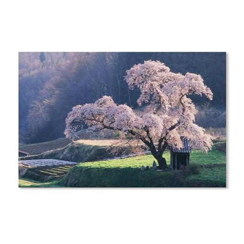 1000 Puzzles Für Erwachsene，Japanische Landschaft, die Kirschblüte，Freizeit Unterhaltung Kinder Spielzeug Zuhause Dekoration Art Geschenk（75x50cm）-A43 von dcobs