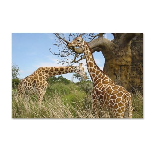 1000 Stück，Giraffen im Grasland，Puzzle Für Erwachsene Lernspielzeug Für Kinder Kreative Spiele Unterhaltung Holz Puzzles Home Decor（75x50cm）-263 von dcobs