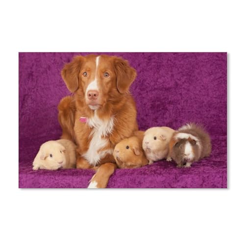 1000 Stück，Hund und Meerschweinchen，Puzzle Für Erwachsene Lernspielzeug Für Kinder Kreative Spiele Unterhaltung Holz Puzzles Home Decor（75x50cm）-336 von dcobs