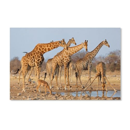 1000-Stück Puzzle Für Erwachsene Und Kinder-Holz Puzzle，Giraffen，Familie Interaktive Spiele Große Ferien Freizeit（75x50cm）-A30 von dcobs