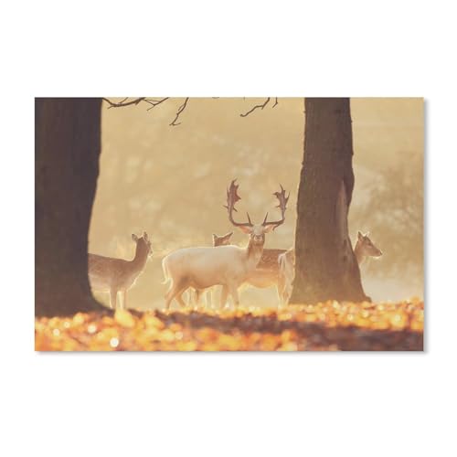 Hirsche im Wald, warme Sonne，Puzzle 1000 Teile Holz Puzzle Erwachsene Kinder Lernspielzeug Familie Dekompressionsspiel（75x50cm）-283 von dcobs