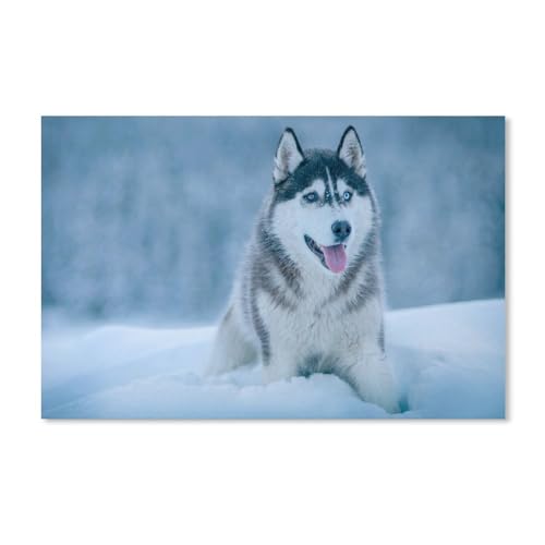 Husky-Hund im Schnee，Puzzles 1000 Teile für Erwachsene, Klassische Puzzle Teenager Puzzle Perfektes Pädagogisches Geschenk für Jungen Und Mädchen（75x50cm）-A136 von dcobs