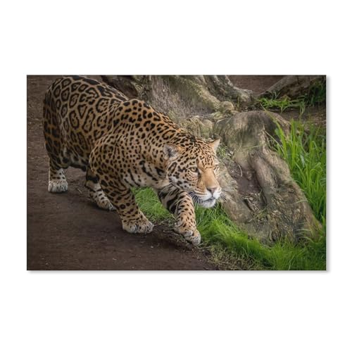 Jaguar läuft，1000 Stück Erwachsene Holz Landschaft Puzzles Für Kinder Lernspielzeug Geschenke（75x50cm）-365 von dcobs