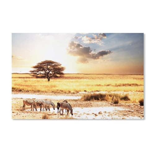 Kinder Holz Puzzle 1000 Teile，Tiere Landschaft Afrika Zebra，Modern Zuhause Dekoration Einzigartiges Geschenk（75x50cm）-238 von dcobs