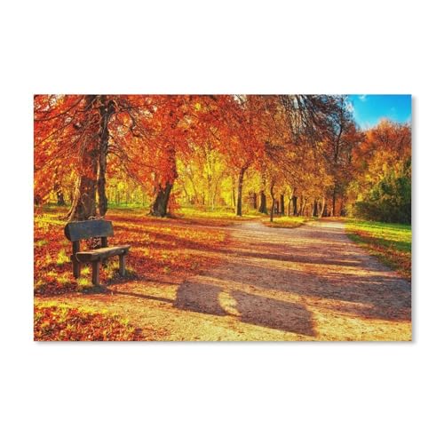 Puzzel Für Erwachsene Jigsaw Puzzle 1000，Herbstpark, rote Blätter, Holzbank, Sonnenlicht，DIY Holz Puzzle Einzigartiges Geschenk Wohnkultur Stil（75x50cm）-A250 von dcobs