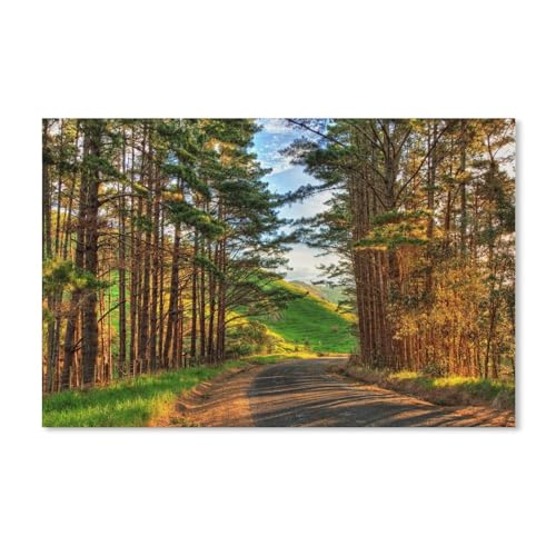 Puzzel Für Erwachsene Jigsaw Puzzle 1000，Warme Nachmittagslandschaft, Bäume, Straße, Sonnenschein，DIY Holz Puzzle Einzigartiges Geschenk Wohnkultur Stil（75x50cm）-A31 von dcobs