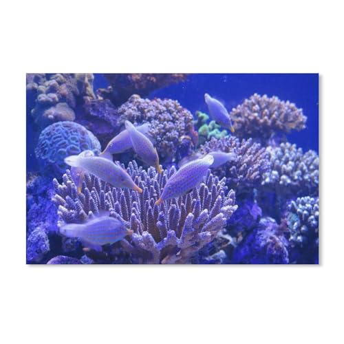 Puzzle 1000 Stück，Aquarium, Blaue Fische, Korallen，Klassische Puzzle 3D Puzzle DIY Kit Karton Spielzeug Einzigartiges Geschenk Wohnkultur（38x26cm）-A188 von dcobs