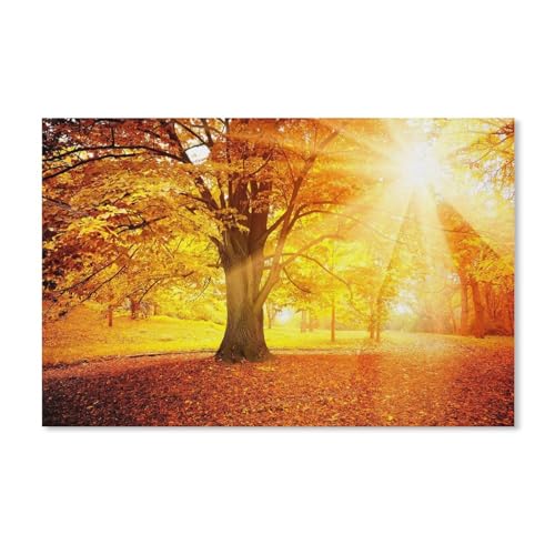 Puzzle 1000 Stück，Sonnenuntergang Herbst, Wald, gelbe Blätter, Bäume, Sonne，Holz Adult Toys Dekompression Spiel（75x50cm）-A229 von dcobs