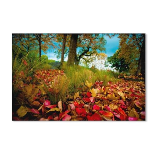 Puzzle 1000 Teile Erwachsene，Herbstwald, Herbstblätter auf dem Gras，Holz Puzzle（75x50cm）-A397 von dcobs